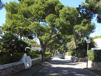 27 shady street ends by the beach 325