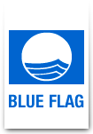 blueflaglogo.png
