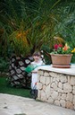 palm girl